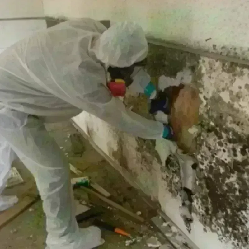 Mold Remediation and Removal in Osceola Mills, PA